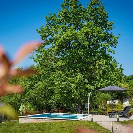 Villa Histria Hedonica In Zabrezani - Haus Fuer 4 Personen Pazin